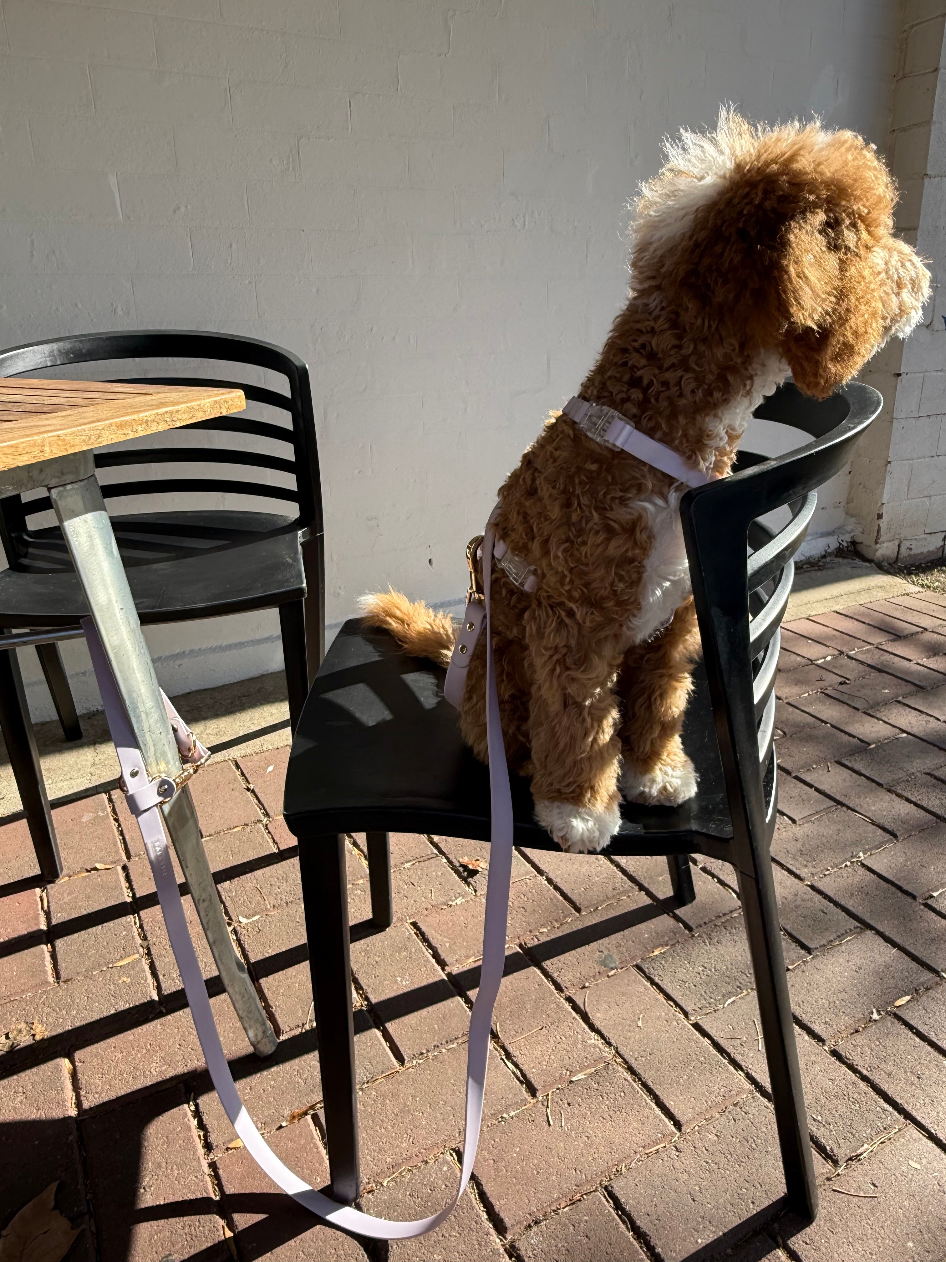 Soft Lilac Waterproof Vegan No-Pull Dog Harness