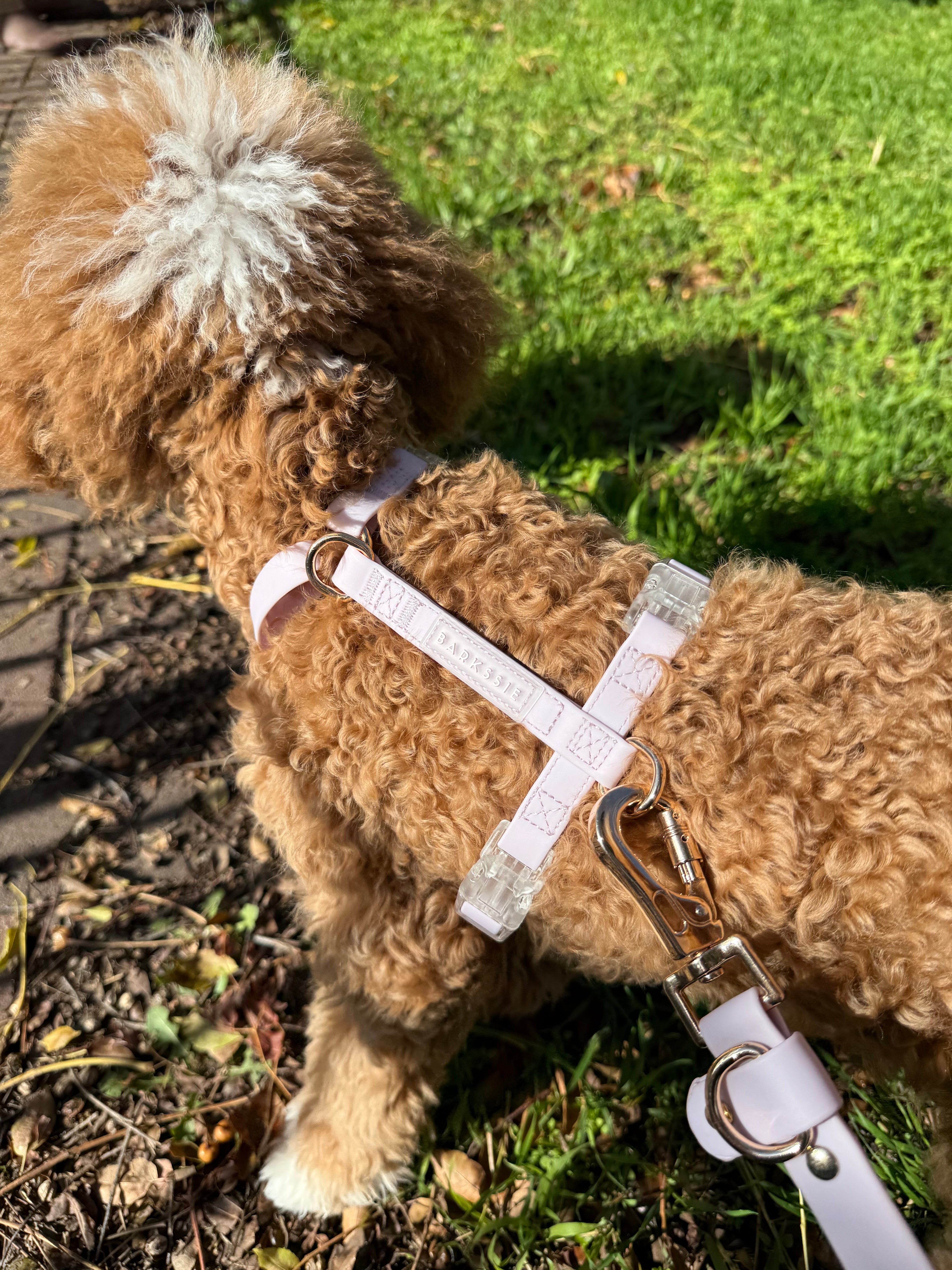 Soft Lilac Waterproof Vegan No-Pull Dog Harness