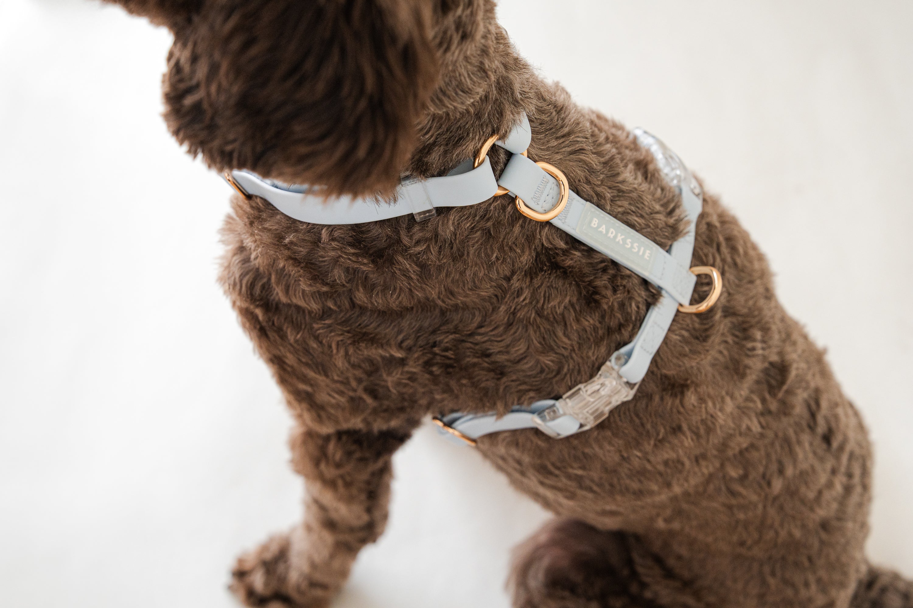 Skyline Blue Waterproof Vegan No-Pull Dog Harness