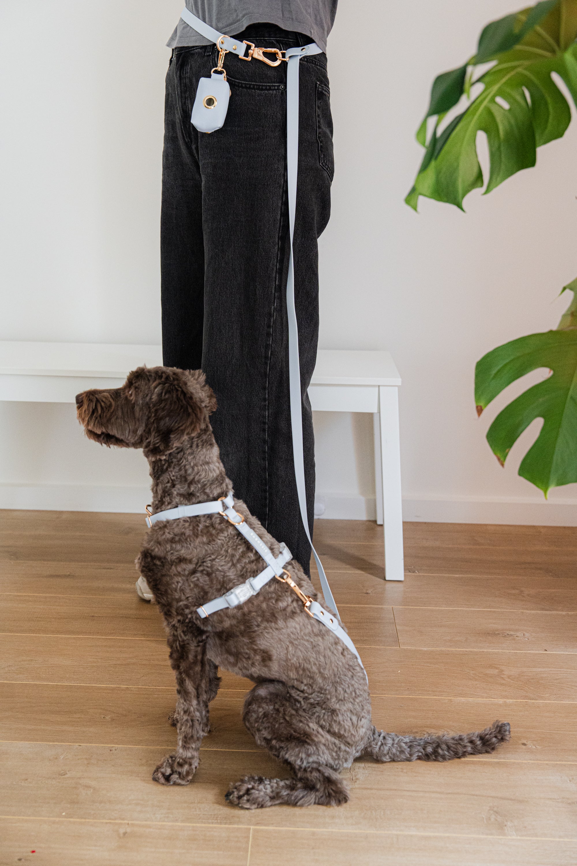 Skyline Blue Vegan Waterproof Harness Bundle