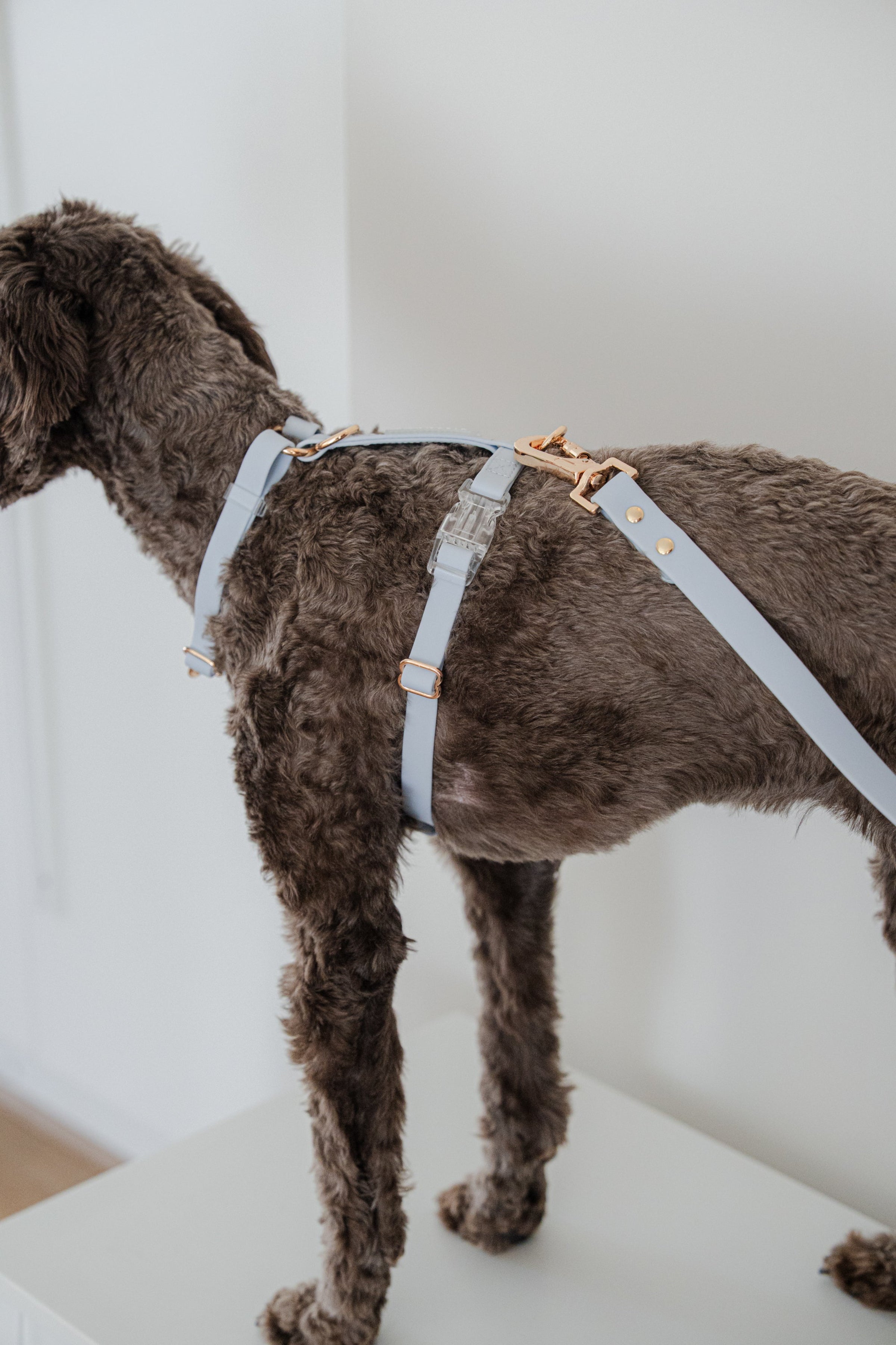 Skyline Blue Vegan Waterproof Harness Bundle