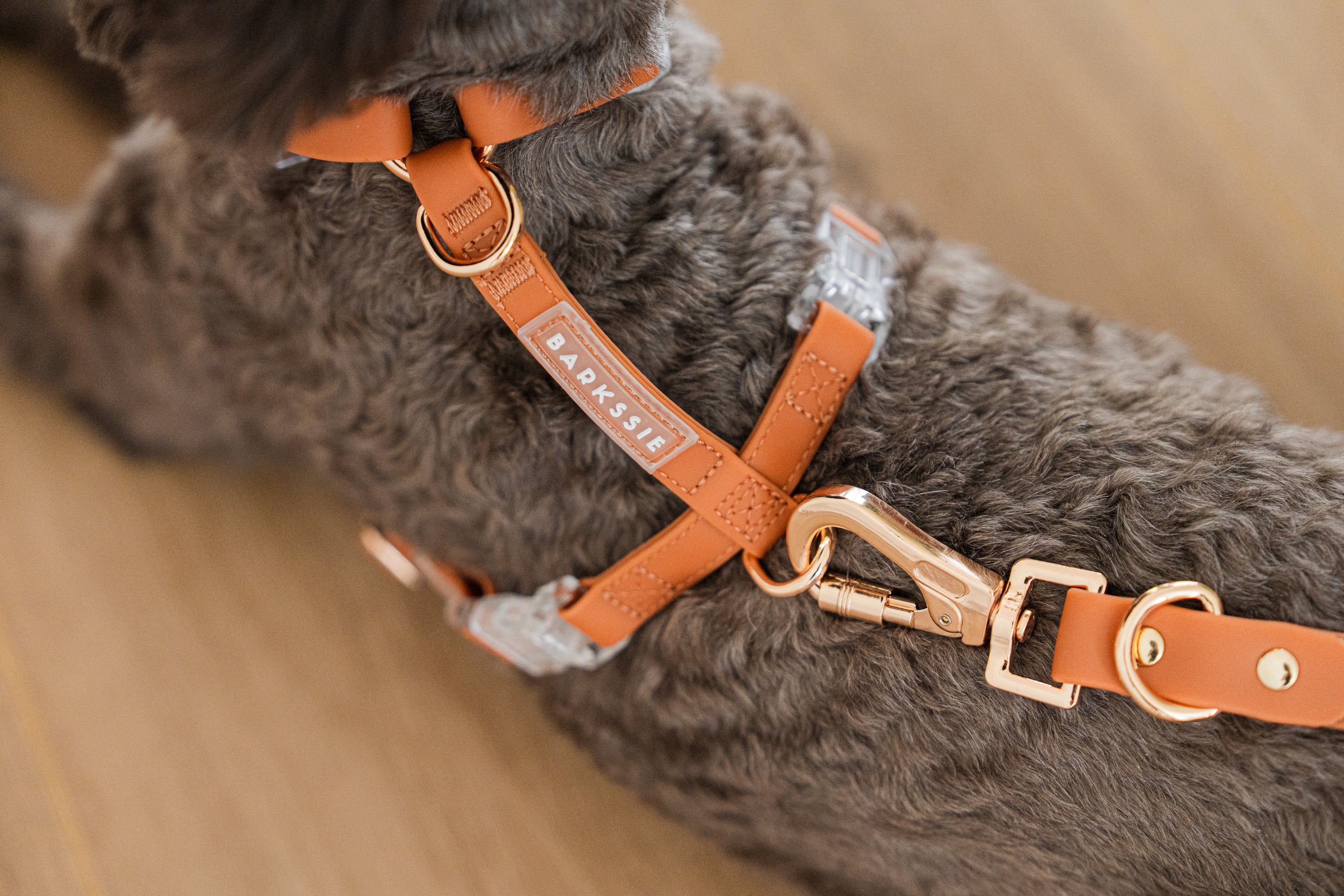 Easy-Wear Walking Set – No-Pull Harness + Lead + Pouch (Golden Brown)