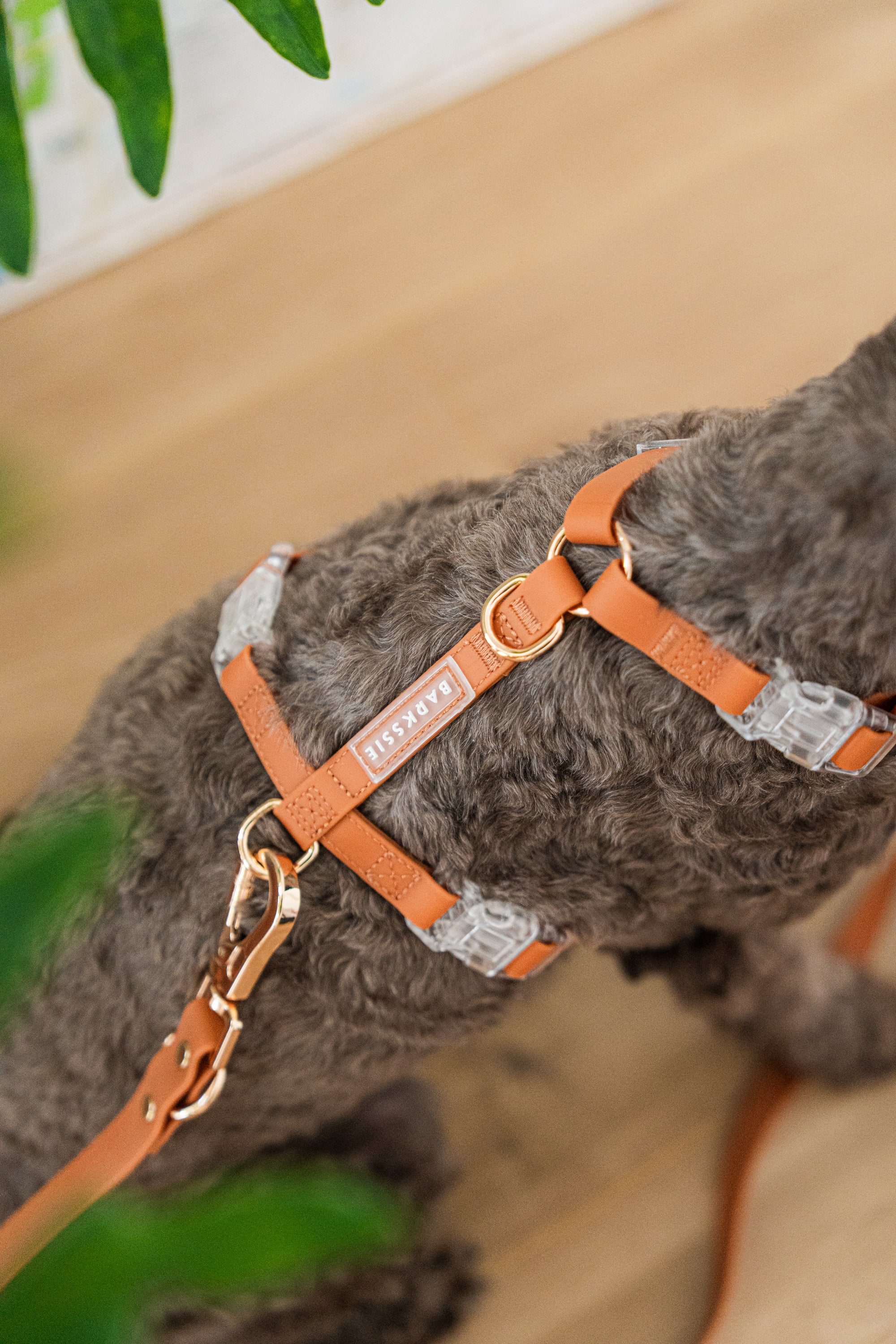 Easy-Wear Walking Set – No-Pull Harness + Lead + Pouch (Golden Brown)