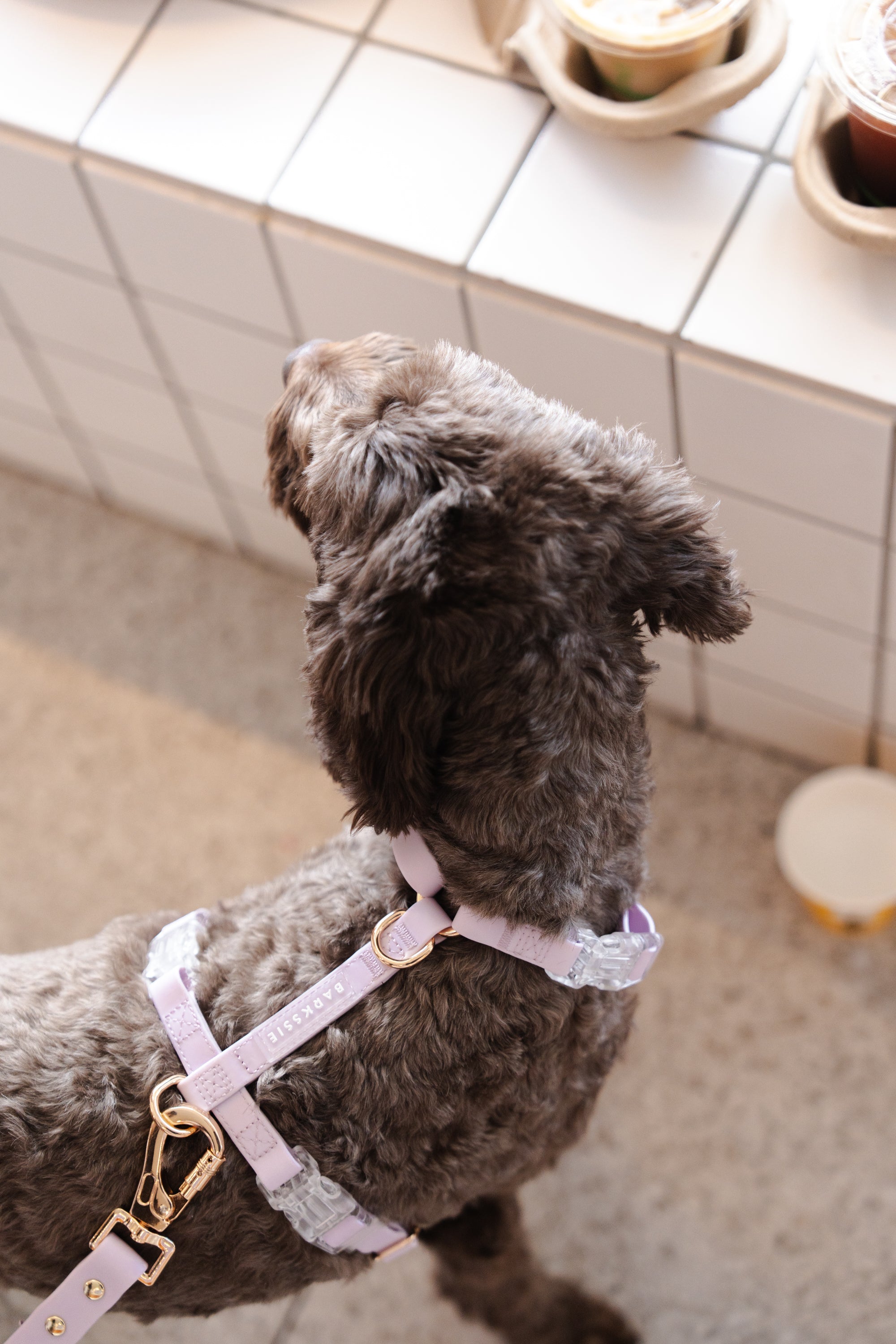 Soft Lilac Waterproof Vegan No-Pull Dog Harness