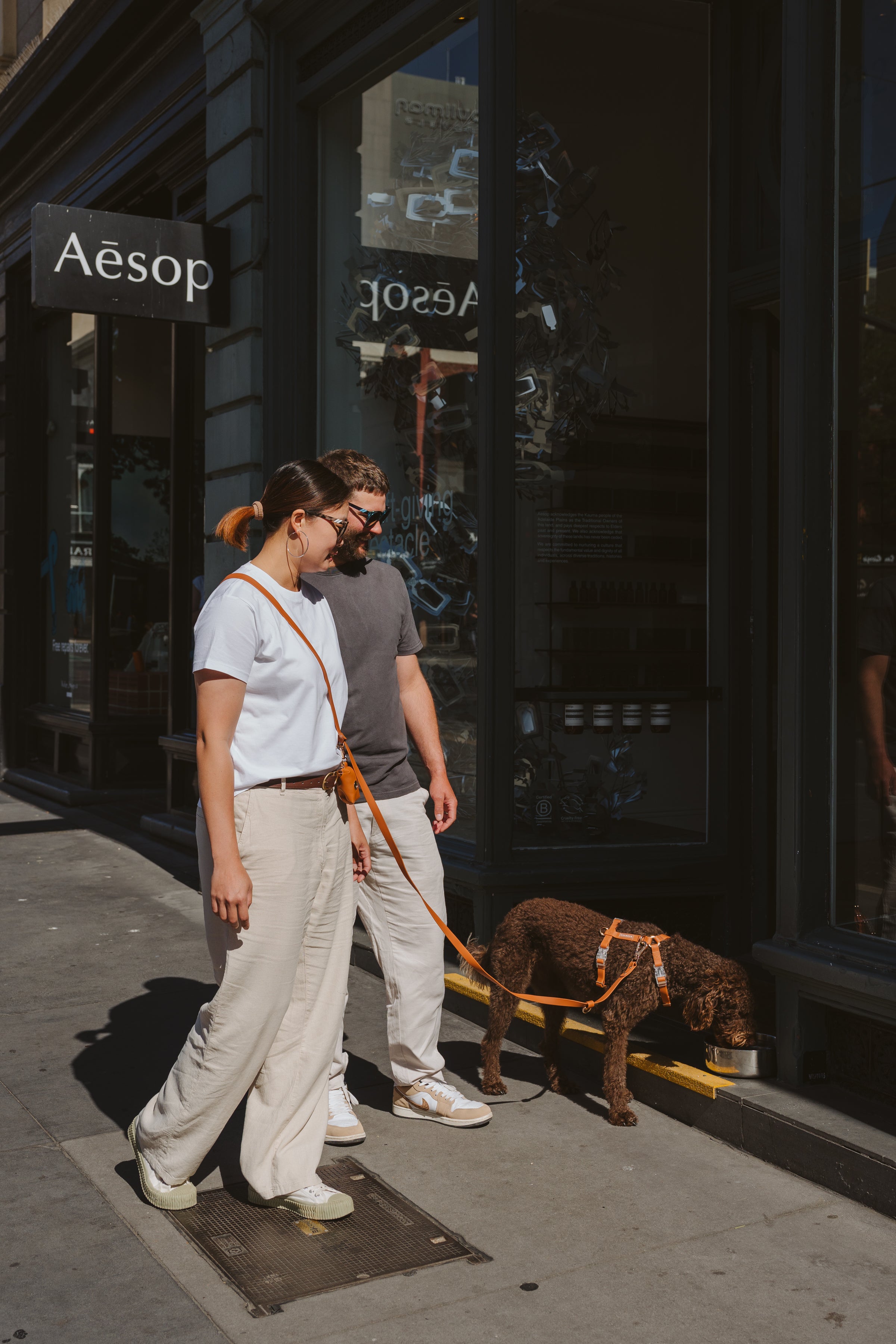 Hands-Free Lead – Waterproof & City-Ready (Golden Brown)