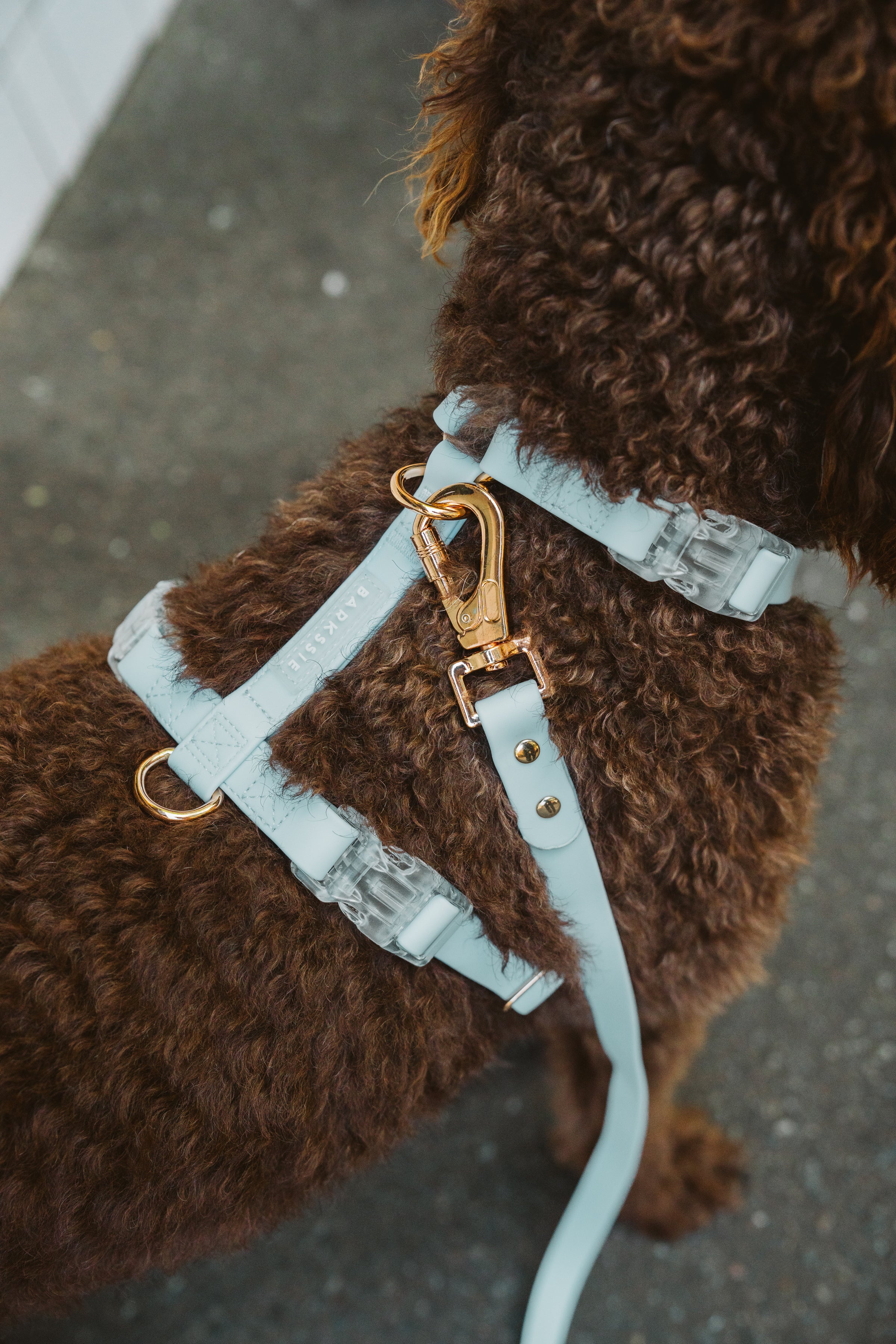 Skyline Blue Waterproof Vegan No-Pull Dog Harness