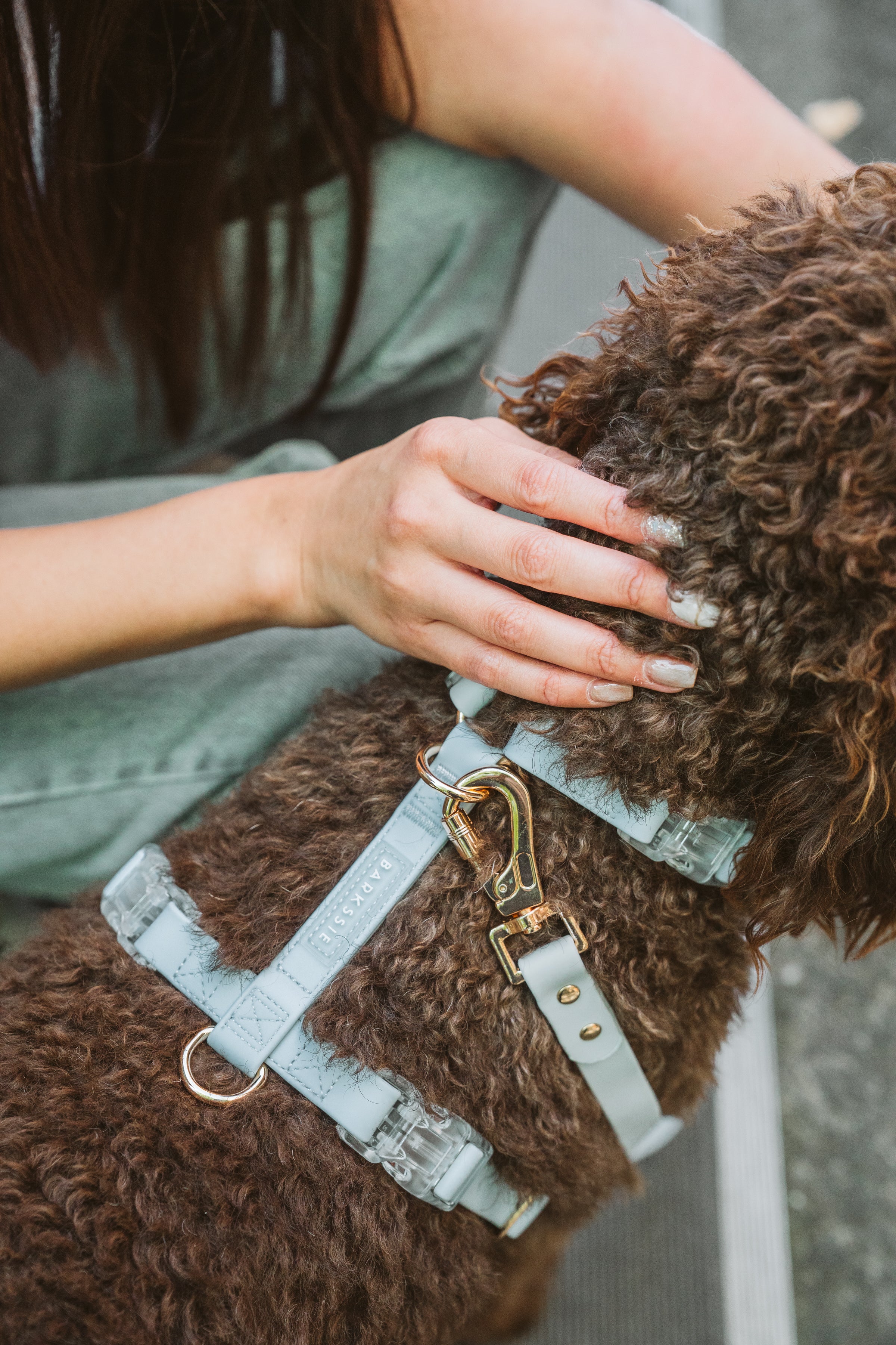 Skyline Blue Waterproof Vegan No-Pull Dog Harness