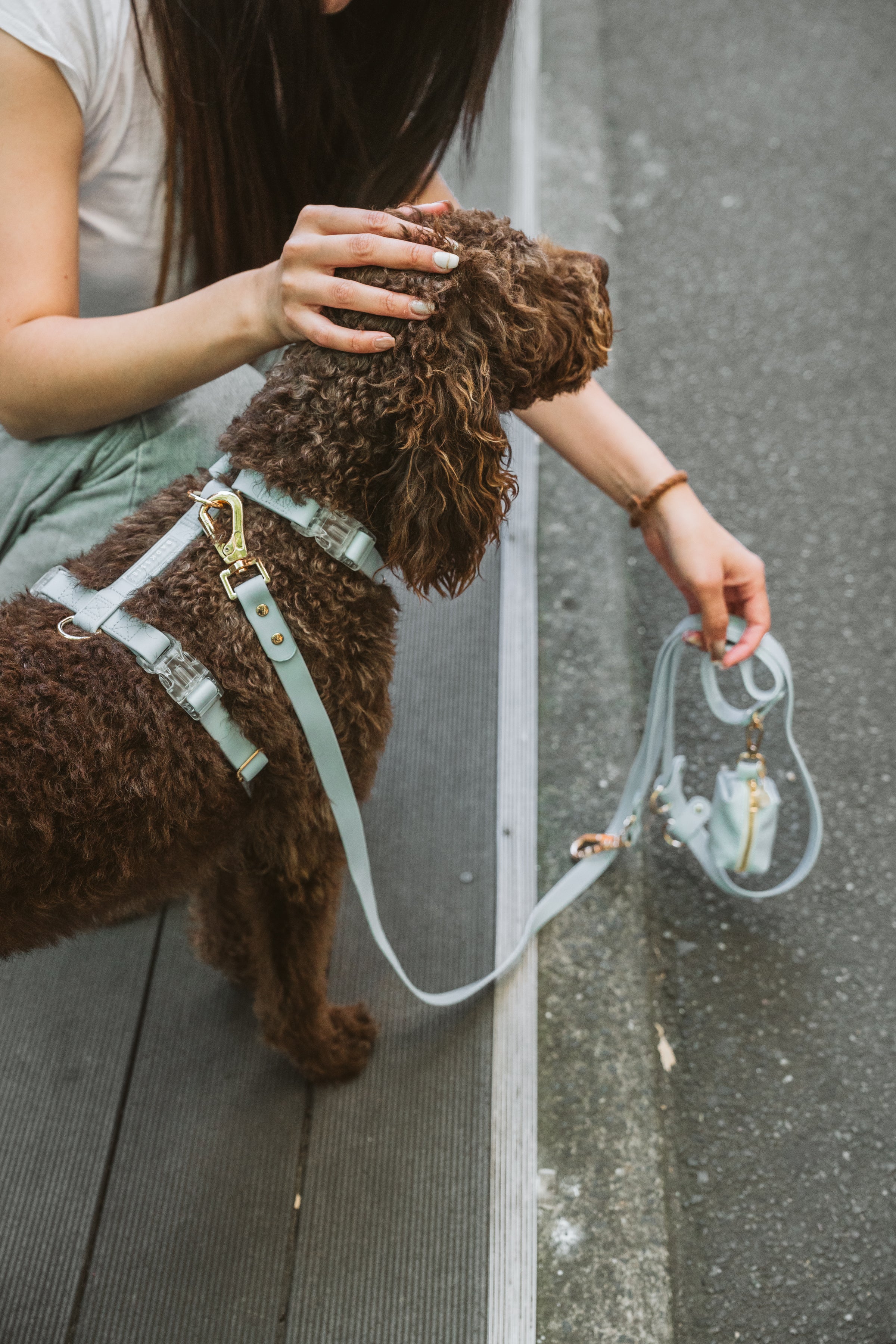 Skyline Blue Waterproof Vegan No-Pull Dog Harness