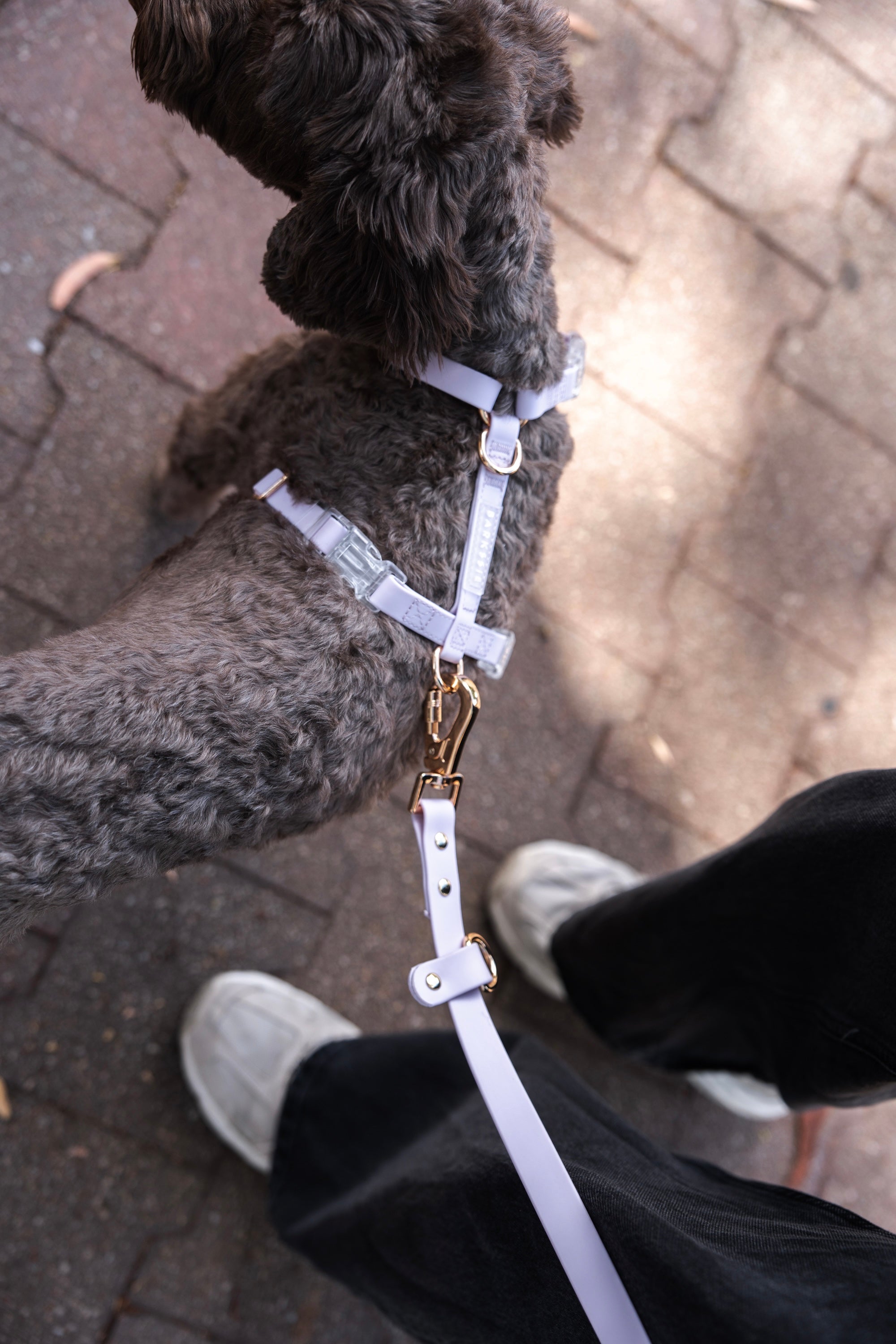 Hands-Free Lead – Waterproof & City-Ready (Soft Lilac)