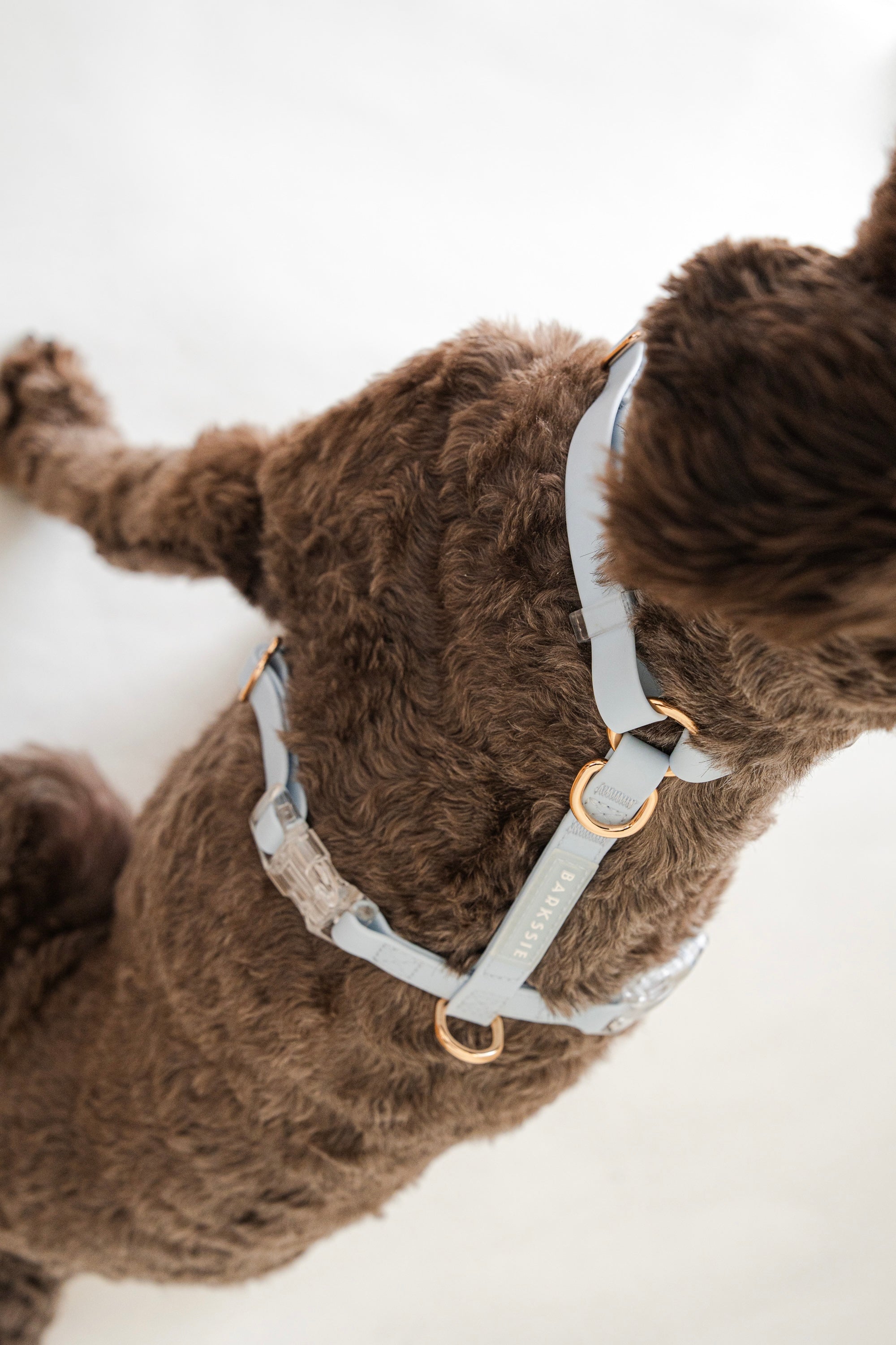 Skyline Blue Vegan Waterproof Harness Bundle