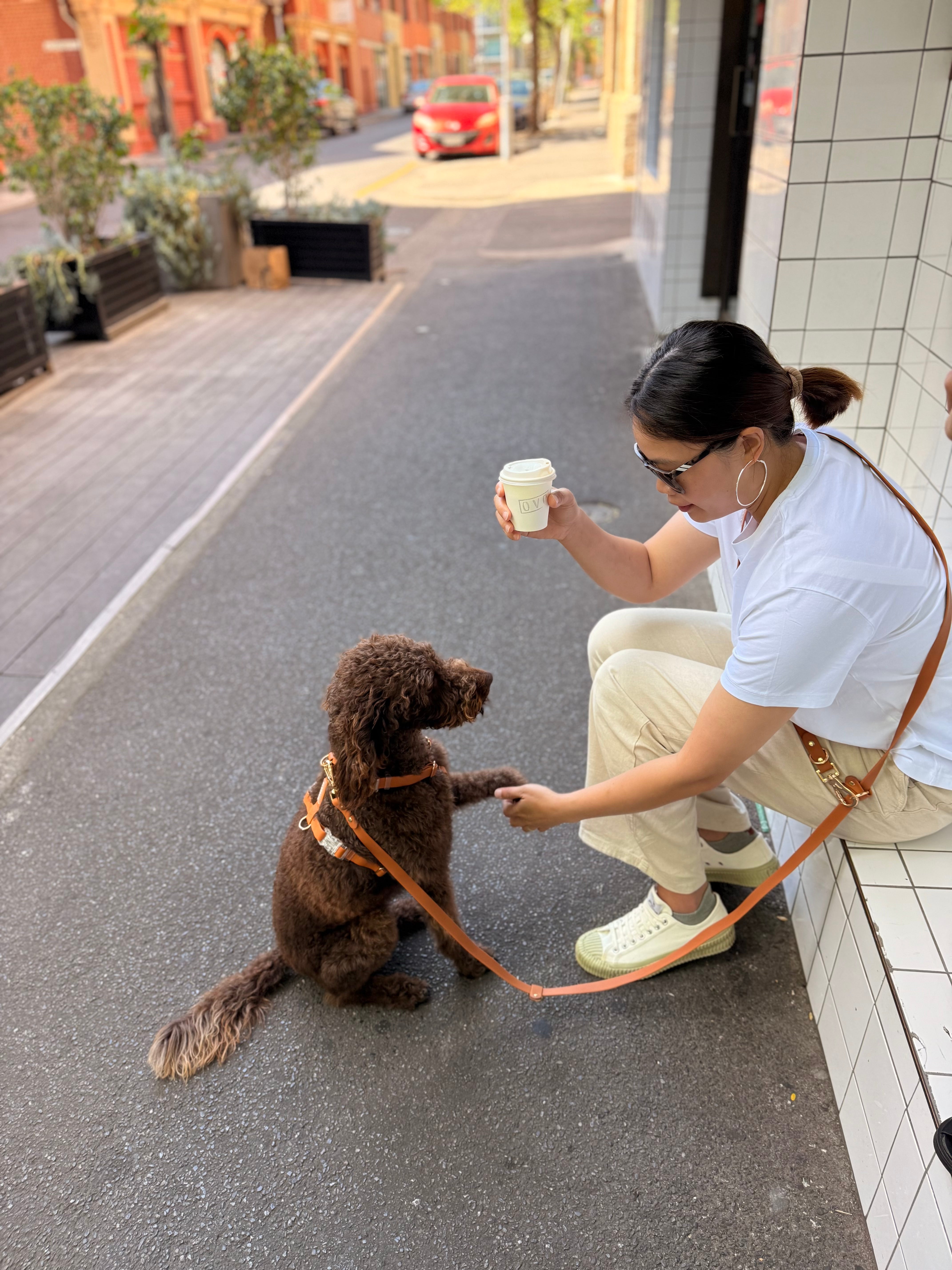 Soft Lilac Vegan Waterproof Harness Bundle