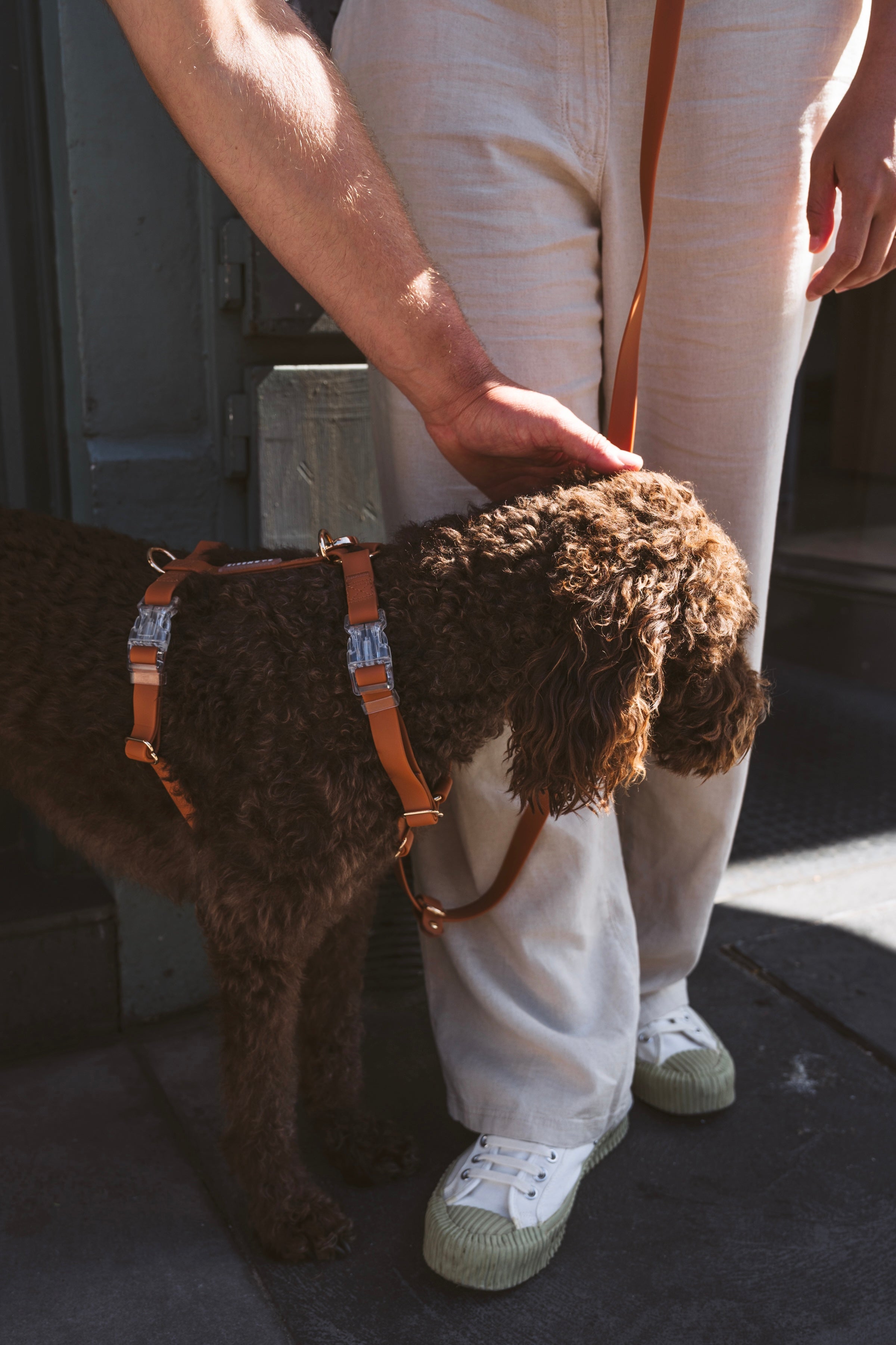 No Over-the-Head Dog Harness – Waterproof Vegan Fit (Golden Brown)