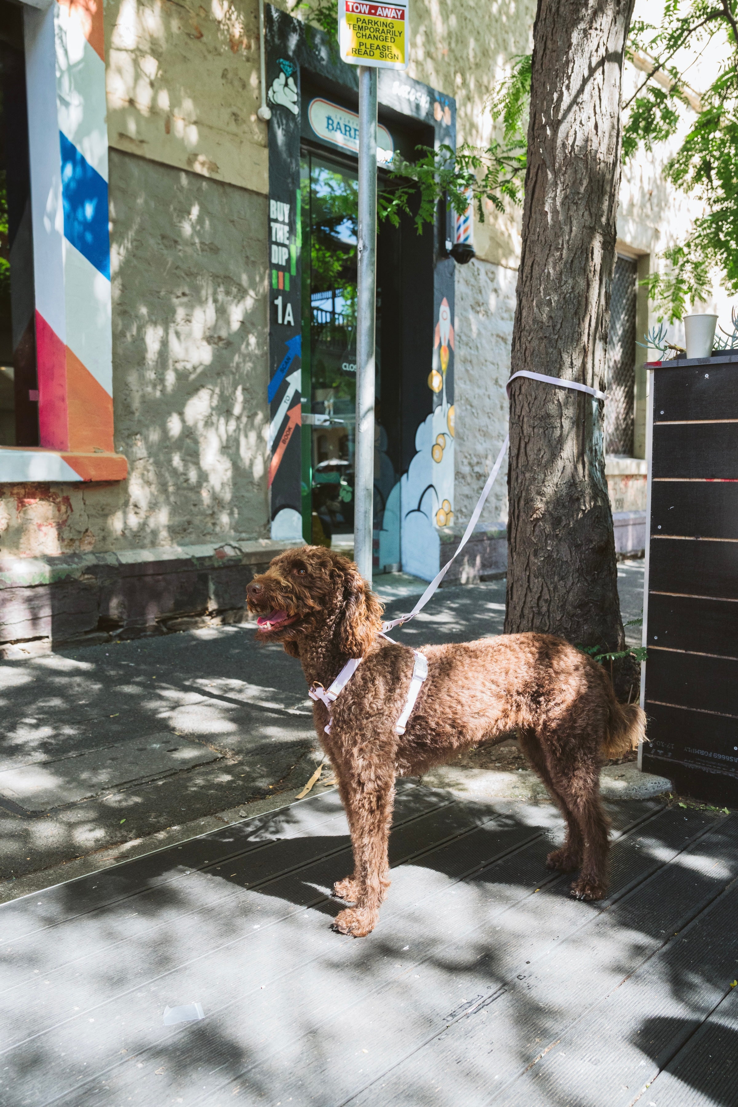 Soft Lilac Waterproof Vegan No-Pull Dog Harness