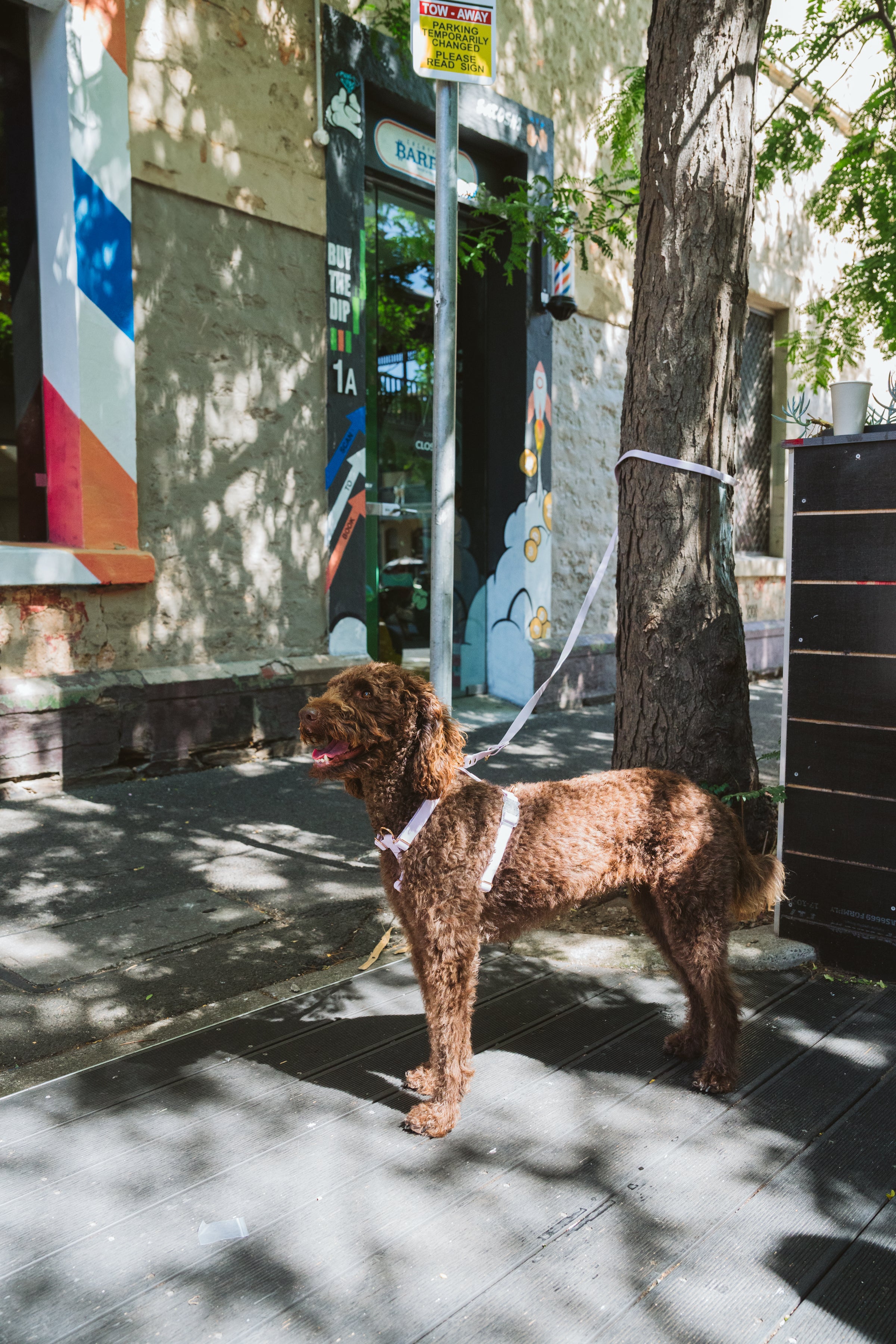 Hands-Free Lead – Waterproof & City-Ready (Soft Lilac)