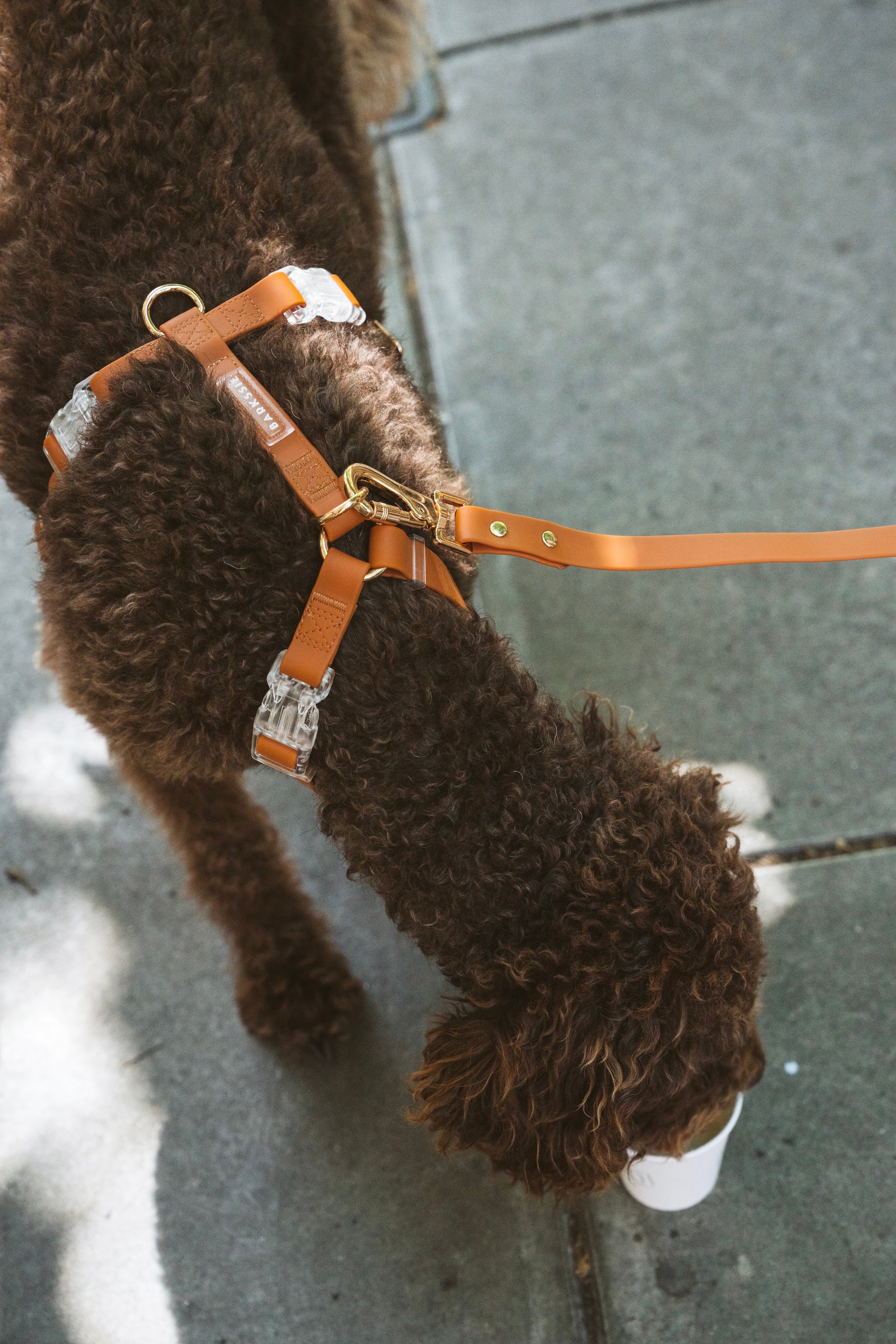No Over-the-Head Dog Harness – Waterproof Vegan Fit (Golden Brown)