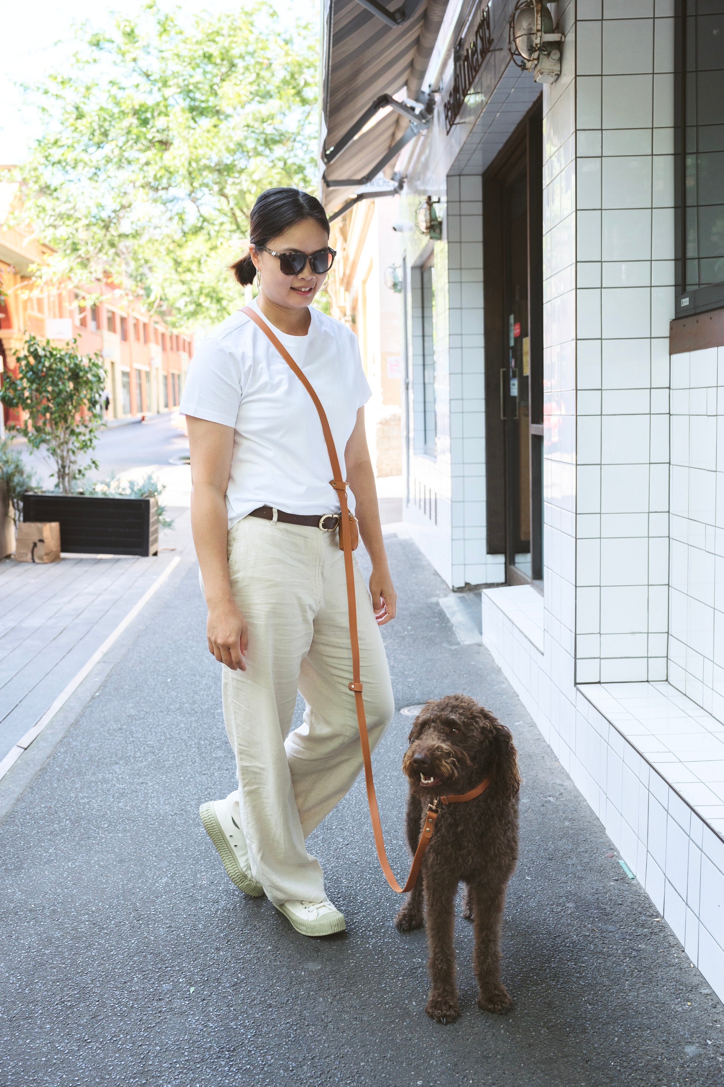 Easy-Wear Walking Set – No-Pull Harness + Lead + Pouch (Golden Brown)