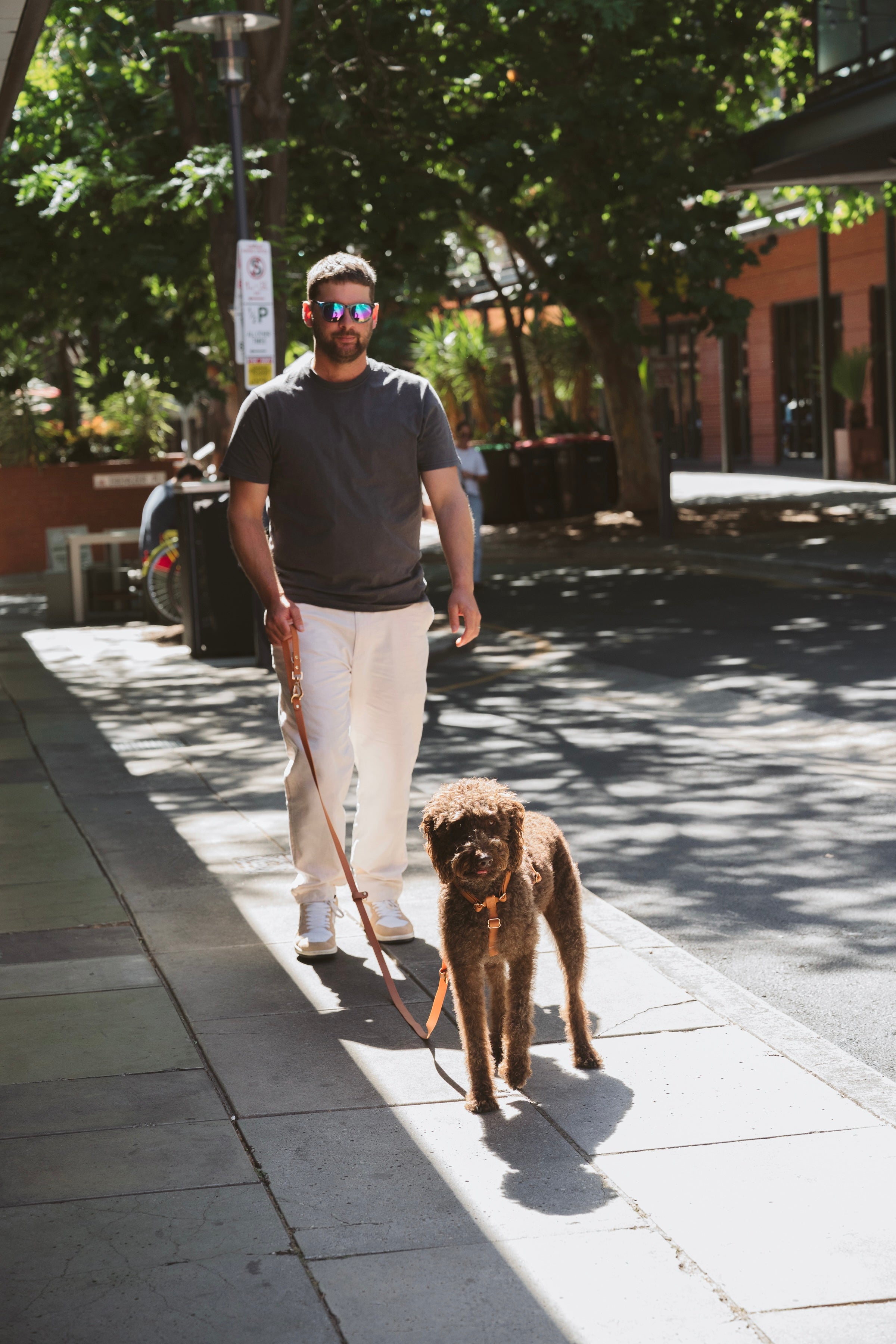 Hands-Free Lead – Waterproof & City-Ready (Golden Brown)