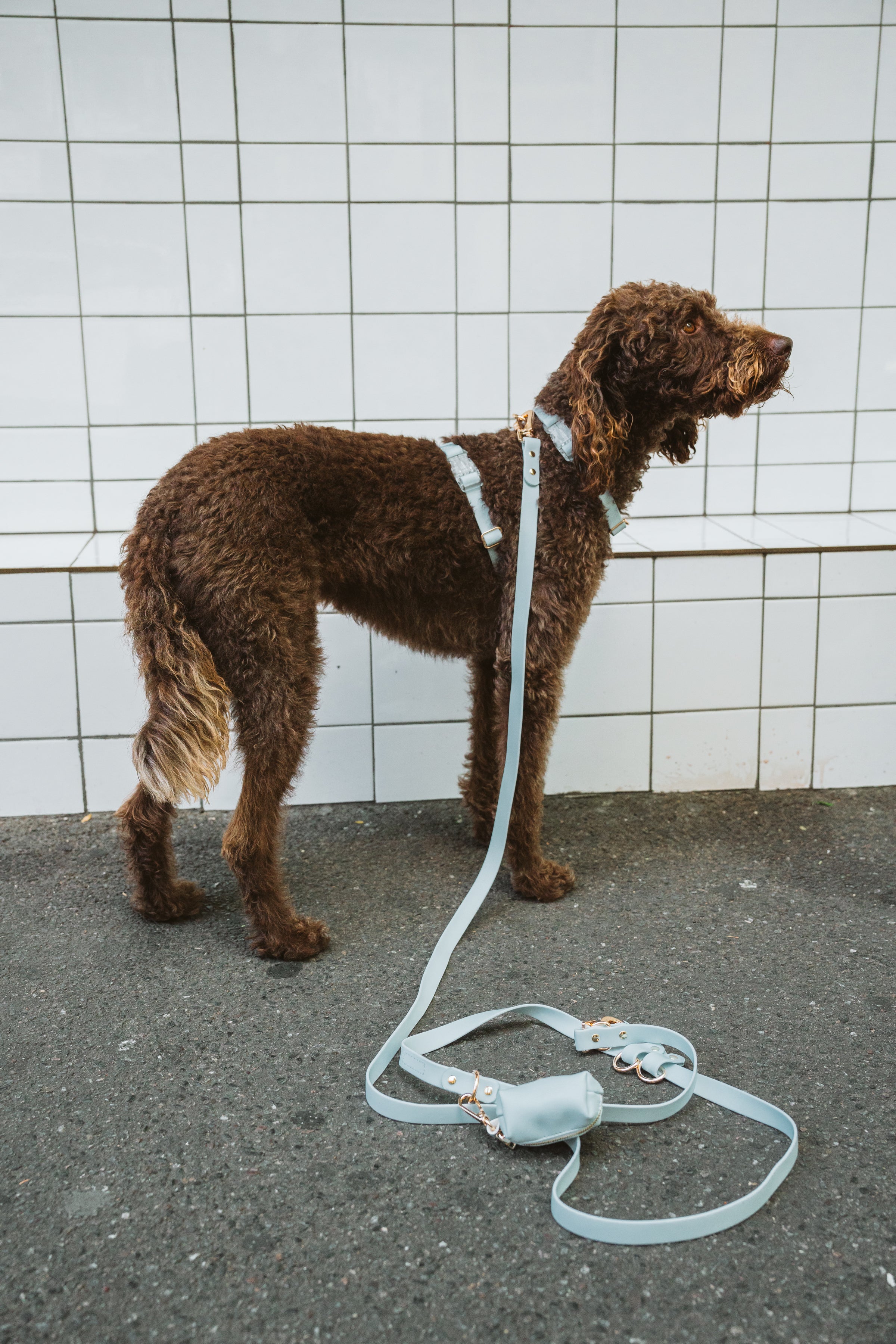 Skyline Blue Premium leather Poop Bag Holder