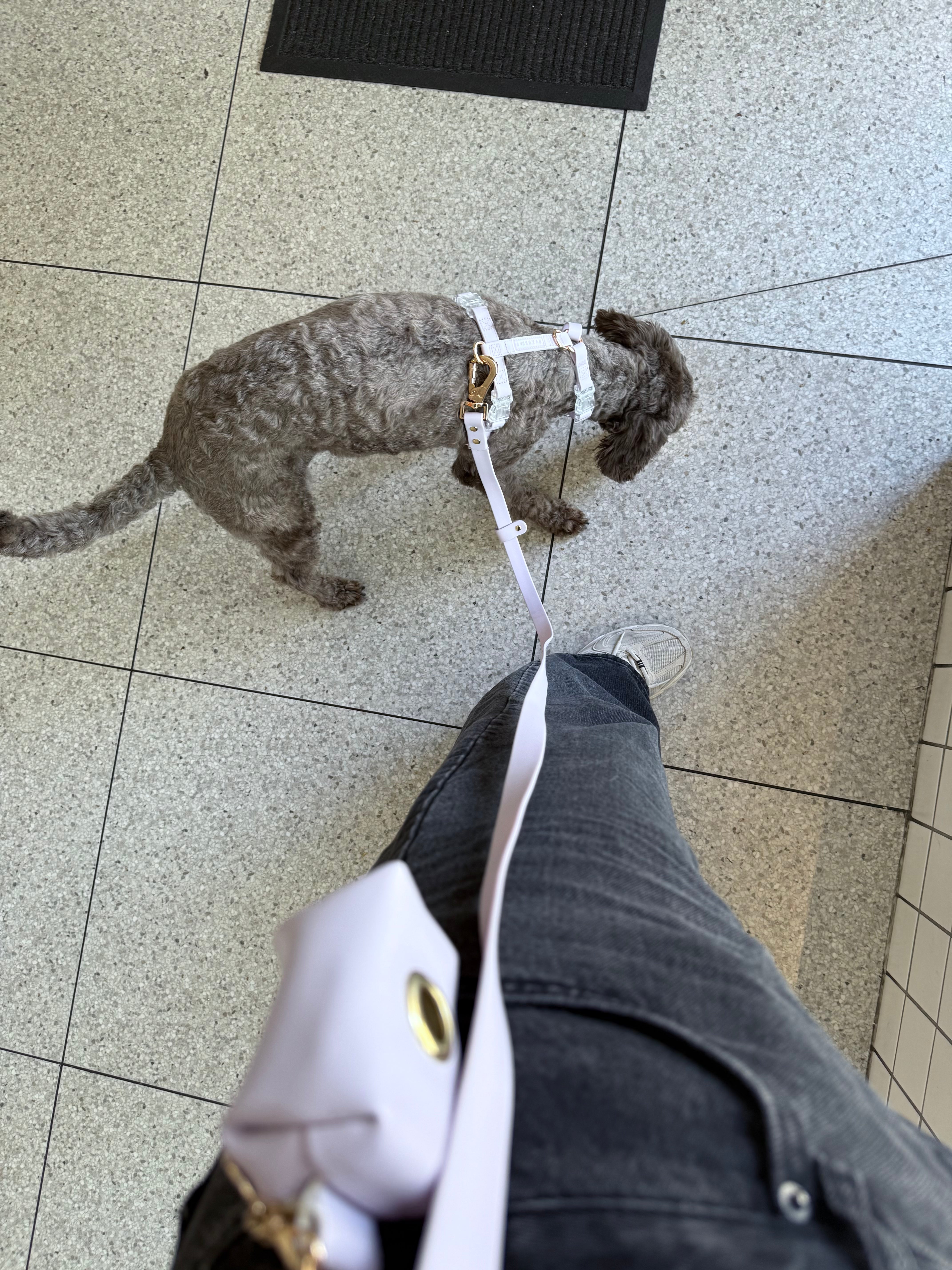 Soft Lilac Vegan Waterproof Harness Bundle