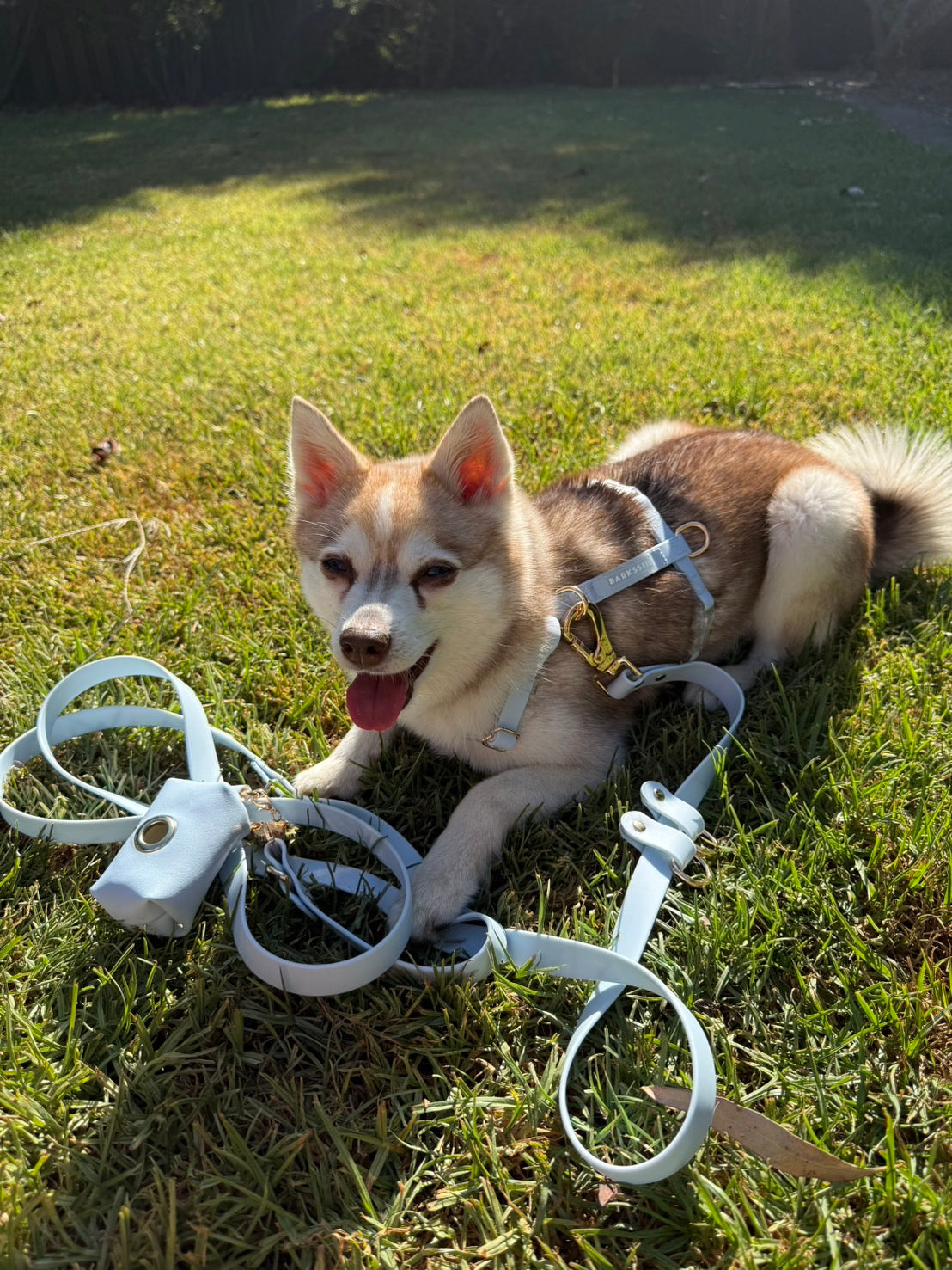 Skyline Blue Vegan Waterproof Harness Bundle