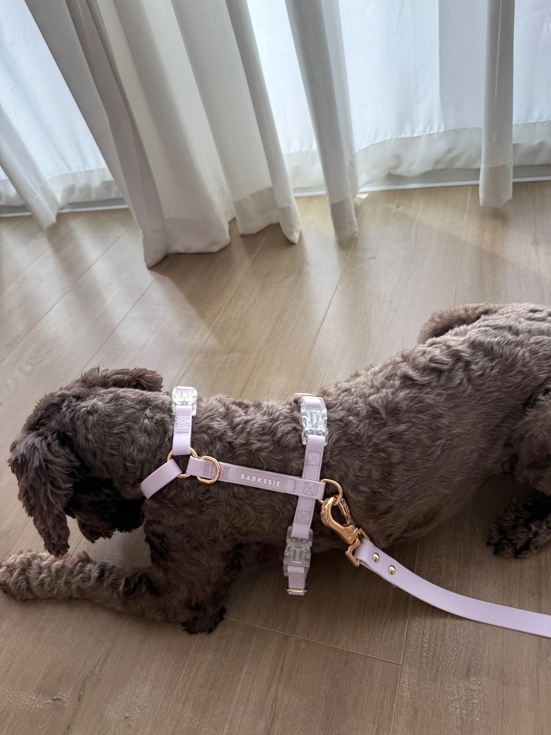 Soft Lilac Vegan Waterproof Harness Bundle