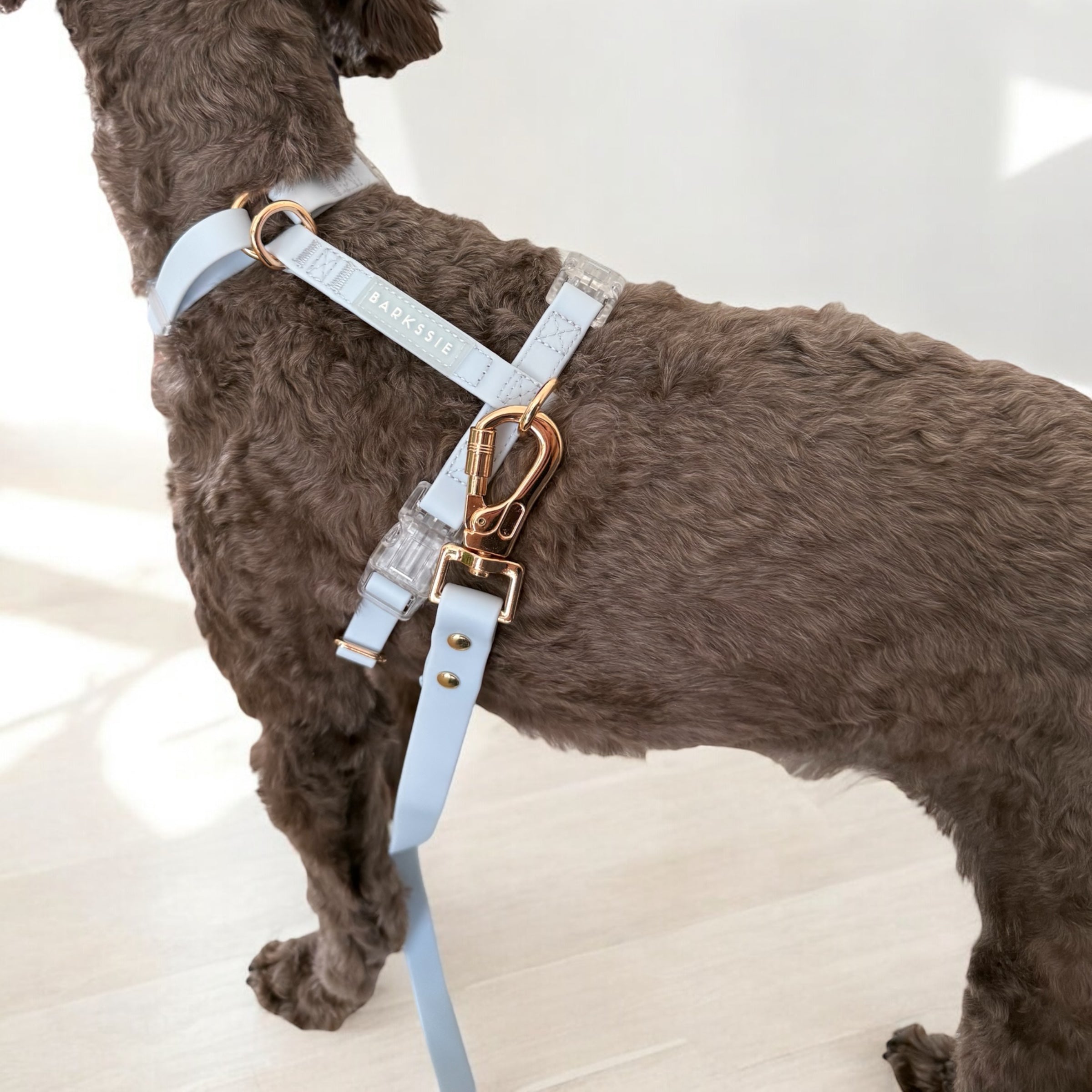 Hands-Free Lead – Waterproof & City-Ready (Skyline Blue)