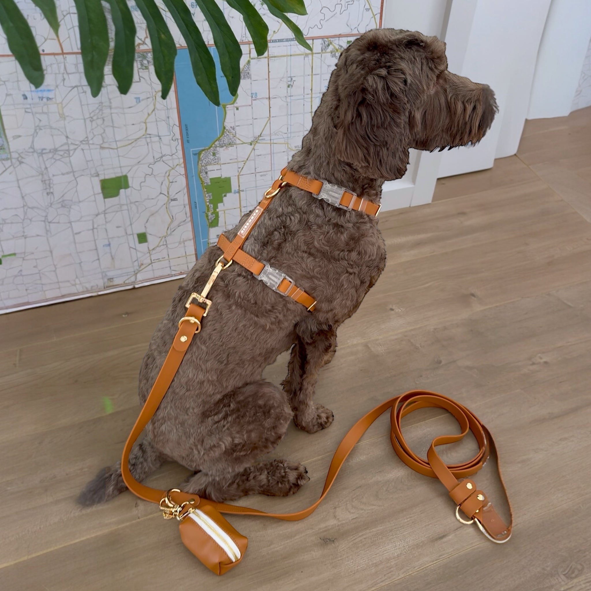 Easy-Wear Walking Set – No-Pull Harness + Lead + Pouch (Golden Brown)