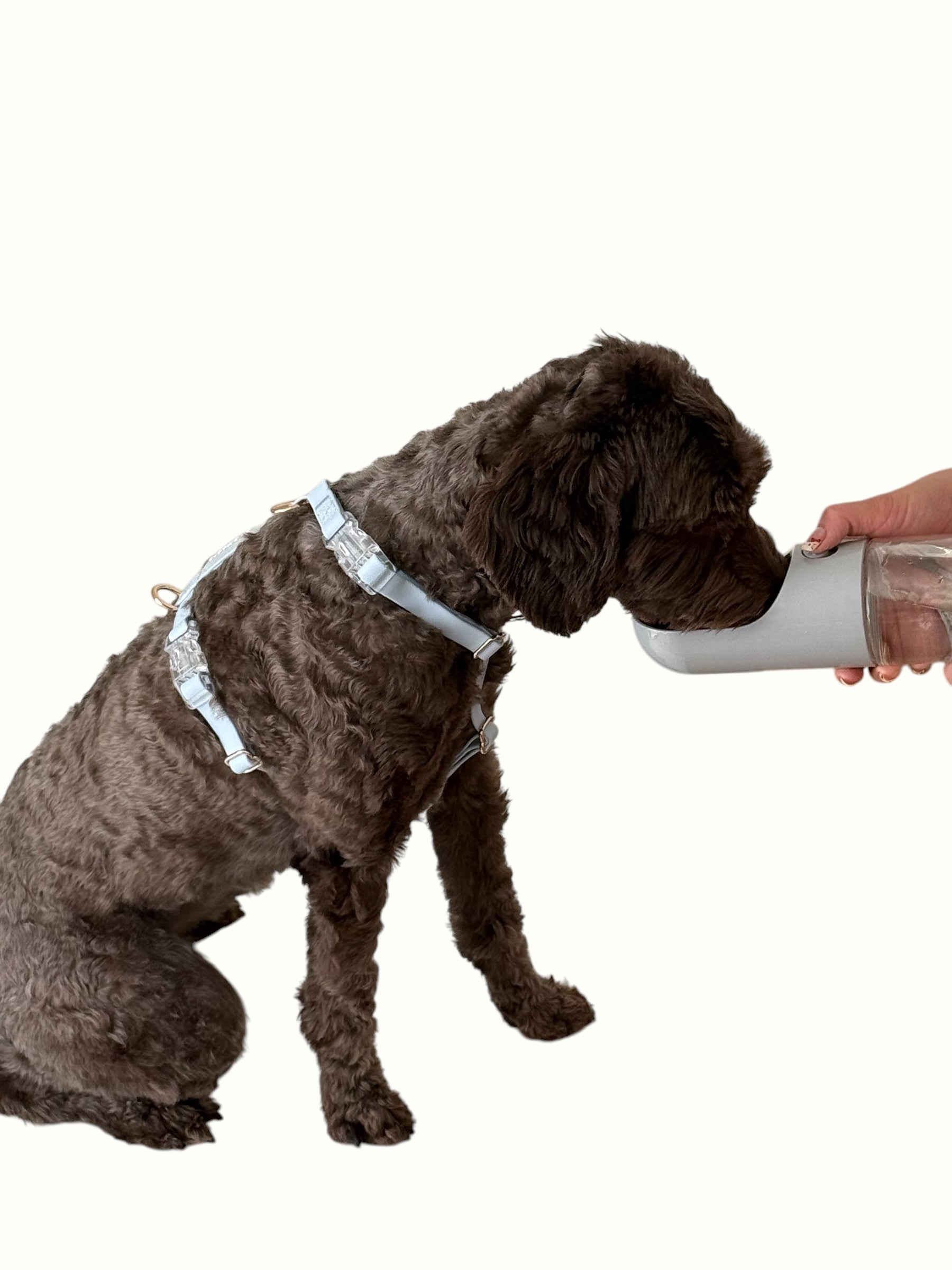 Skyline Blue Vegan Waterproof Harness Bundle