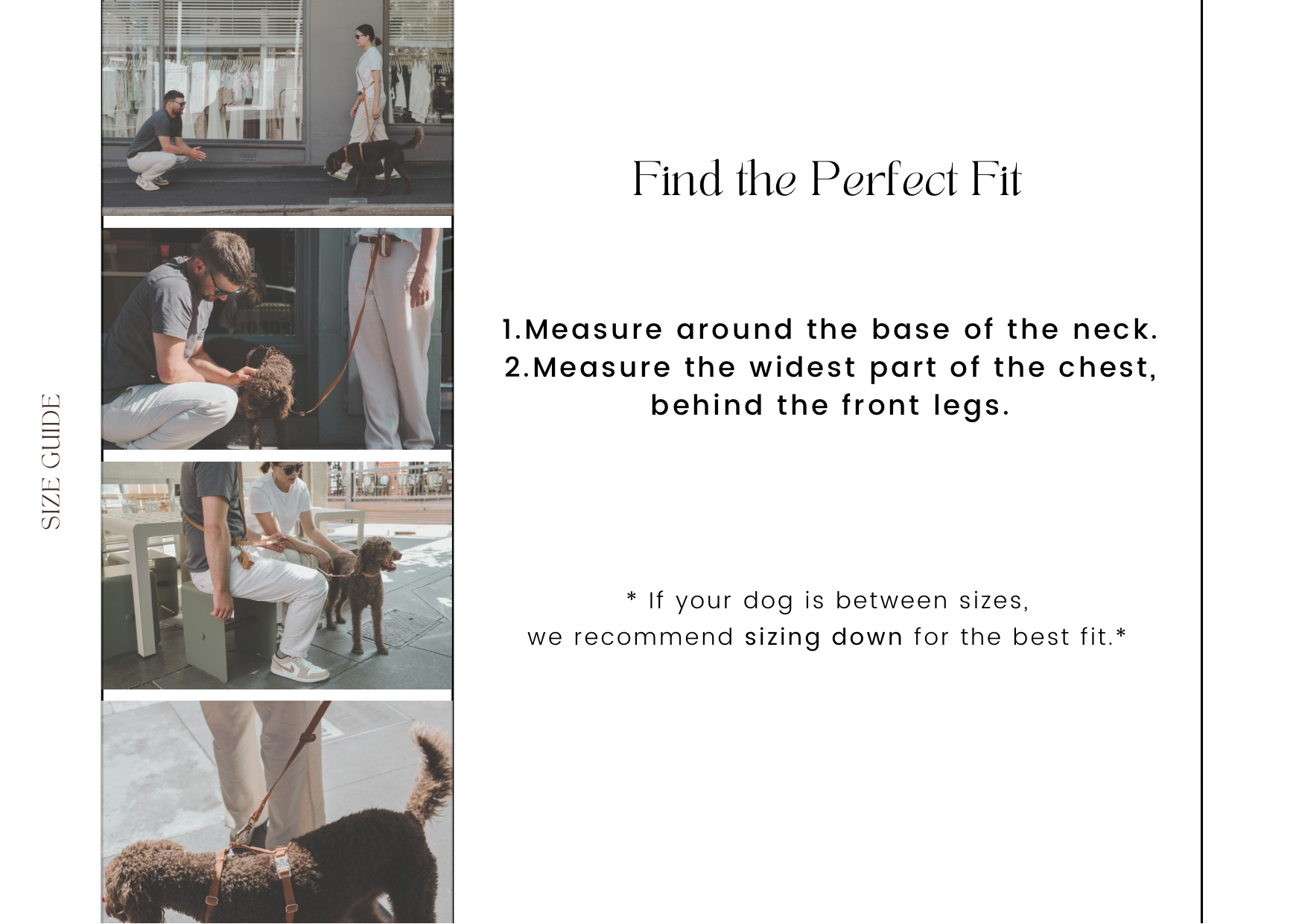 Skyline Blue Waterproof Vegan No-Pull Dog Harness