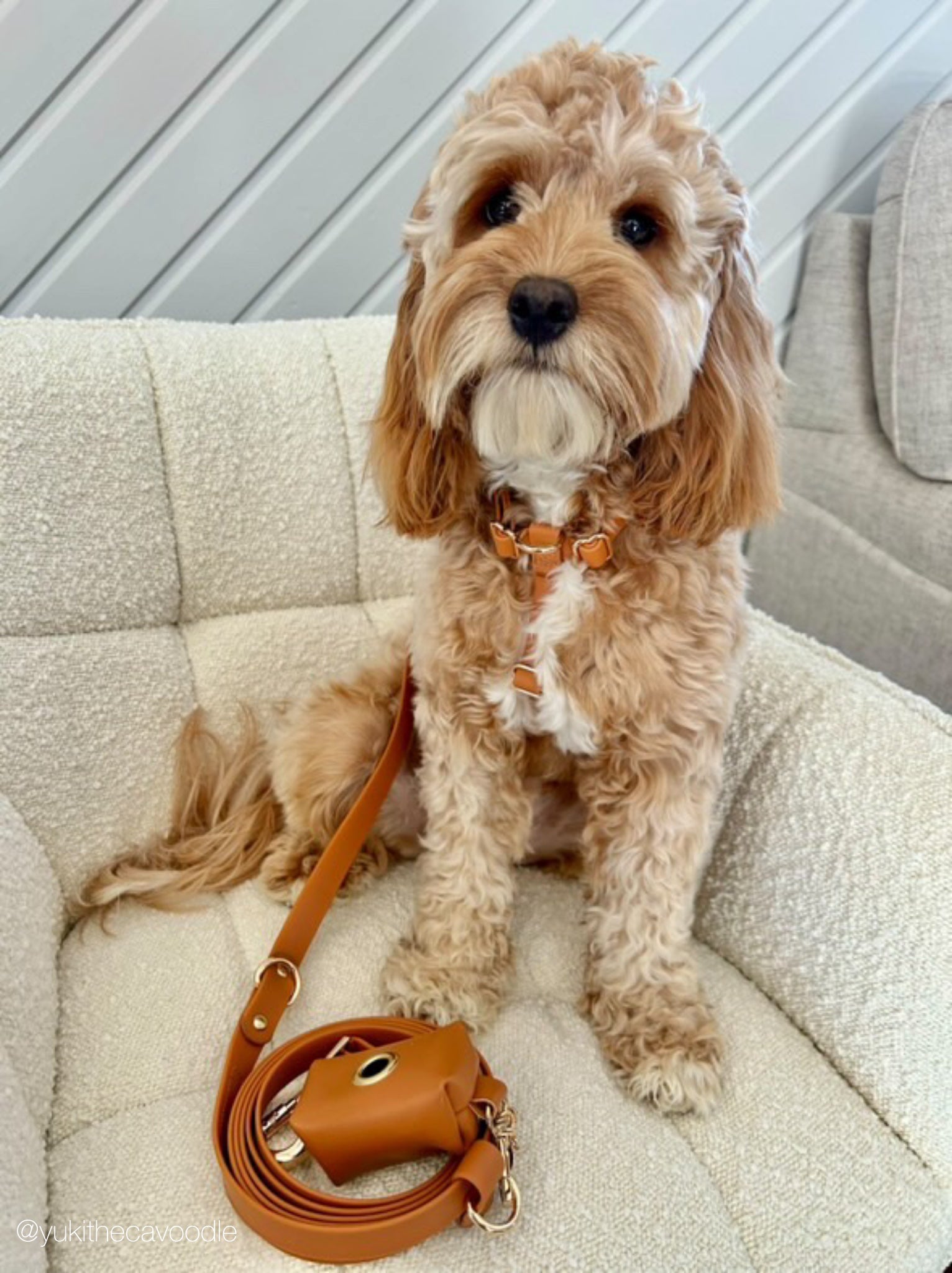 Brown Vegan Waterproof Harness Bundle